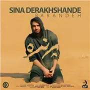 Sina Derakhshande Parandeh