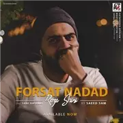 آهنگ رضا شیری به نام فرصت نداد