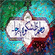 دانلود آهنگ وطنم از سالار عقیلی 