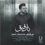 دانلود آهنگ نارفیق از حامد همایون 