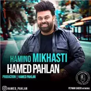 دانلود آهنگ همینو میخواستی از حامد پهلان