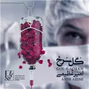 آهنگ امیر عظیمی به نام گل سرخ