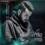 آهنگ امین فیاض به نام برگرد تماشا کن منو