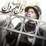 آهنگ محسن چاوشی و سینا سرلک به نام دل ای دل 