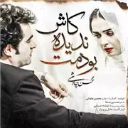 اهنگ محسن چاوشی به نام کاش ندیده بودمت
