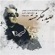 آهنگ محسن چاوشی به نام صید جگر خسته