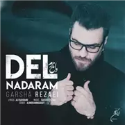 آهنگ گرشا رضایی به نام دل ندارم