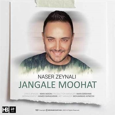 ناصر زینعلی جنگل موهات آهنگ ناصر زینعلی به نام جنگل موهات