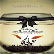 آهنگ عیده بی تو از علی عبدالمالکی