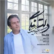 آهنگ امیر تاجیک به نام دلتنگی