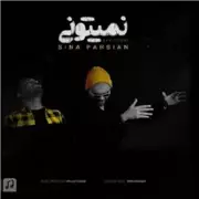 آهنگ سینا پارسیان به نام نمیتونی