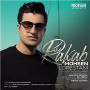 آهنگ محسن لرستانی به نام رکب