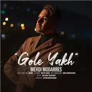 آهنگ مهدی مدرس به نام گل یخ