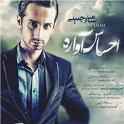 آهنگ سامان جلیلی به نام احساس آواره
