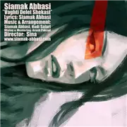 آهنگ سیامک عباسی به نام وقتی دلت شکست