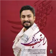 آهنگ راغب به نام دیوانگی