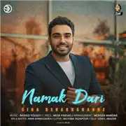آهنگ سینا درخشنده  به نام نمک داری