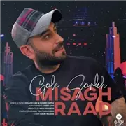 آهنگ میثاق راد به نام گل سرخ