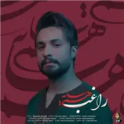 آهنگ راغب به نام هم سایه