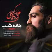 آهنگ علی زند وکیلی به نام جاده شب