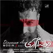 آهنگ معین زد به نام دیوانه ام آری