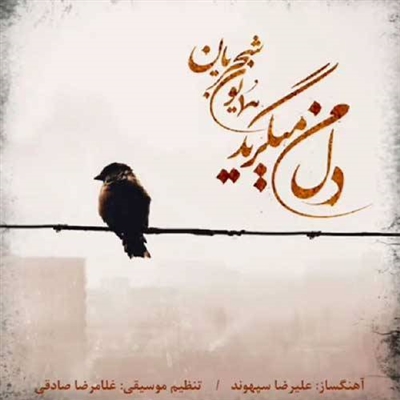 همایون شجریان دل من میگرید آهنگ همایون شجریان به نام دل من میگرید