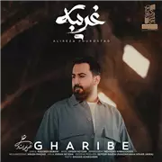 آهنگ علیرضا پوراستاد به نام غریبه