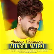 آهنگ علی عبدالمالکی به نام آهنگ قشنگ