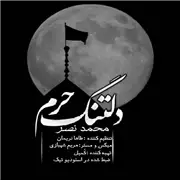 آهنگ محمد نصر به نام دلتنگ حرم