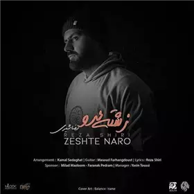 آهنگ رضا شیری به نام زشته نرو