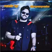 آهنگ دیجی پیام پاشا به نام مهمونی