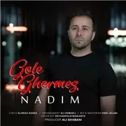 آهنگ ندیم به نام گل قرمز
