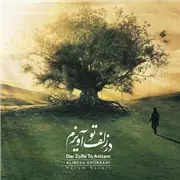 آهنگ علیرضا قربانی به نام در زلف تو آویزم