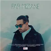 آهنگ مجید رضوی به نام پر میزنه