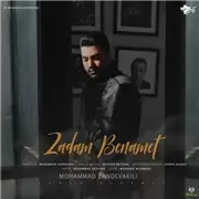 آهنگ محمد زند وکیلی به نام  زدم به نامت
