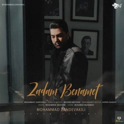 محمد زند وکیلی زدم به نامت آهنگ محمد زند وکیلی به نام زدم به نامت
