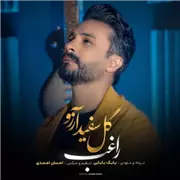 آهنگ راغب به نام گل سفید آرزو