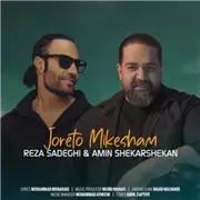 آهنگ رضا صادقی به نام جورتو میکشم (امین شکرشکن)