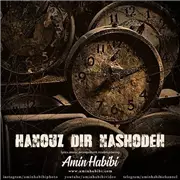 آهنگ امین حبیبی به نام هنوز دیر نشده