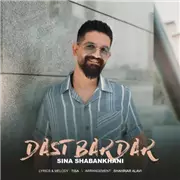 آهنگ سینا شعبانخانی به نام دست بردار