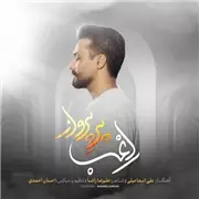 راغب پر پرواز آهنگ راغب به نام پر پرواز