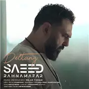 آهنگ سعید رهنمافر به نام دلتنگ