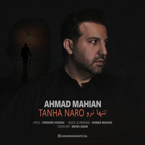 احمد ماهیان تنها نرو آهنگ احمد ماهیان به نام تنها نرو