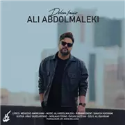 آهنگ علی عبدالمالکی به نام دلم تنگه