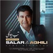 آهنگ سالار عقیلی به نام تب دیوانگی