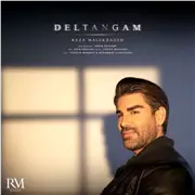 آهنگ رضا ملک زاده به نام دلتنگم
