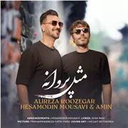 آهنگ علیرضا روزگار به نام مثل پروانه