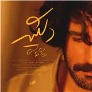آهنگ عرفان طهماسبی به نام دلگیر