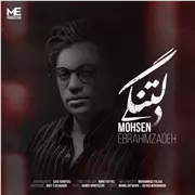 آهنگ محسن ابراهیم زاده به نام دلتنگی