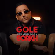 آهنگ محمدرضا رهنما به نام گل سرخ